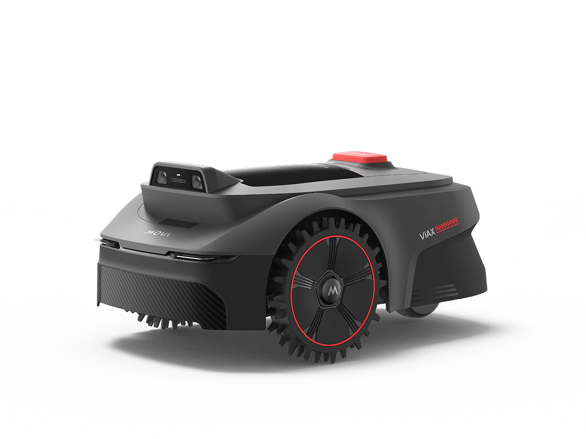 Miniatura 8